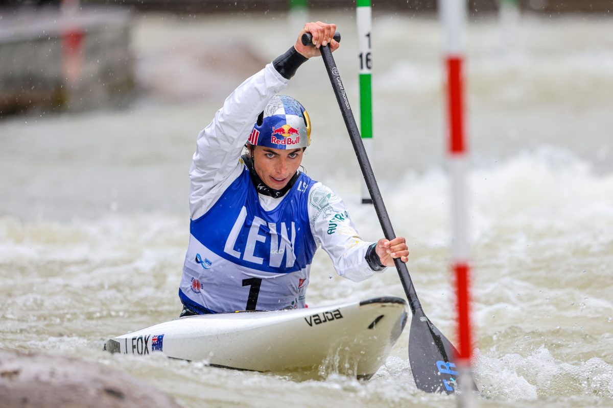 Fox Wins World Cup in C1